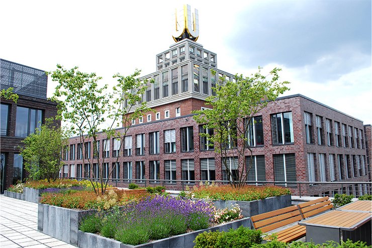 Dachbegrünung Bürogebäude Dortmund, 2010